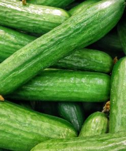 Cucumber Vegetable